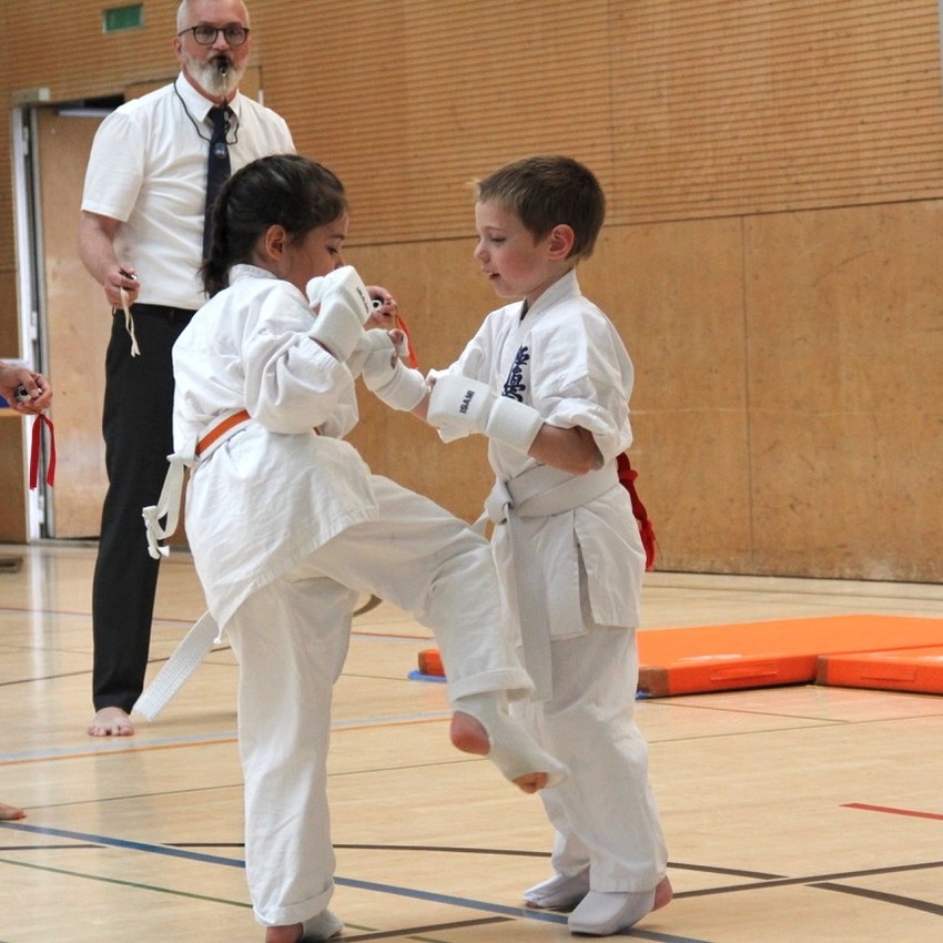 img_6474-62285ced7fcd8446d054a76f936a8035