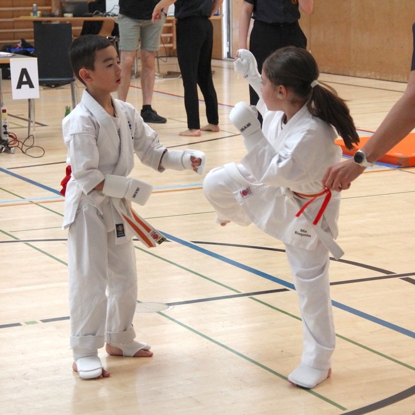 img_6481-c419dcb9ec0c1c0761e42b71f572fa7a