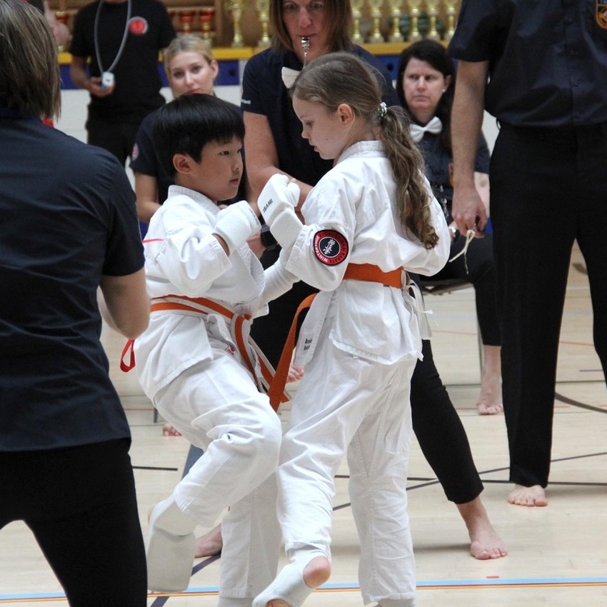 img_6485-a6a8d56d95c923a247f4efc3919a1a02