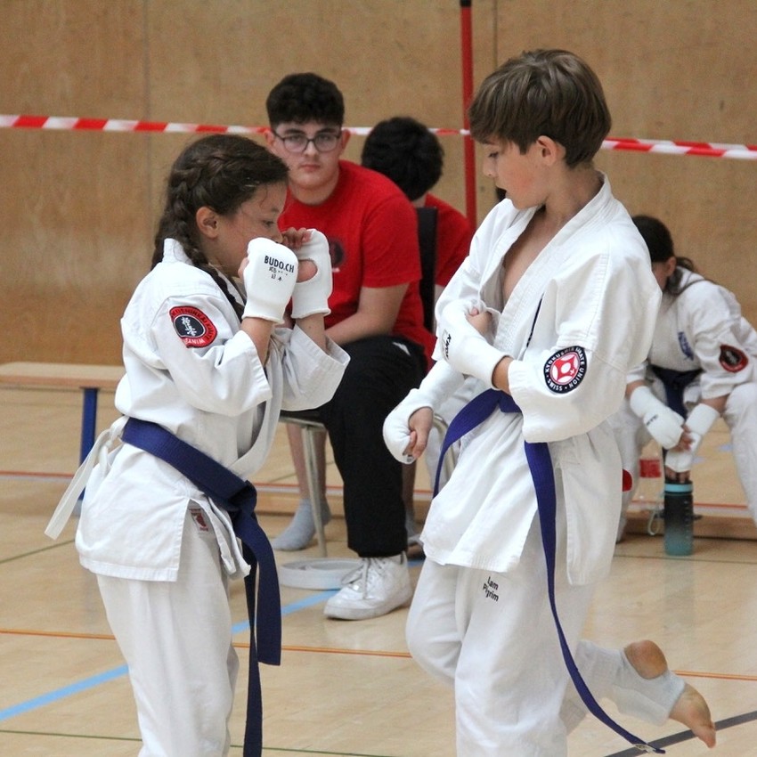 img_6507-c342f8a423cdd06ff5dc86891ea804c7