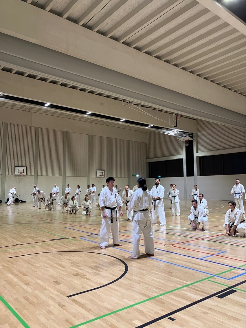 img_6509-ba545af04fe4fd54764399d8985d0074