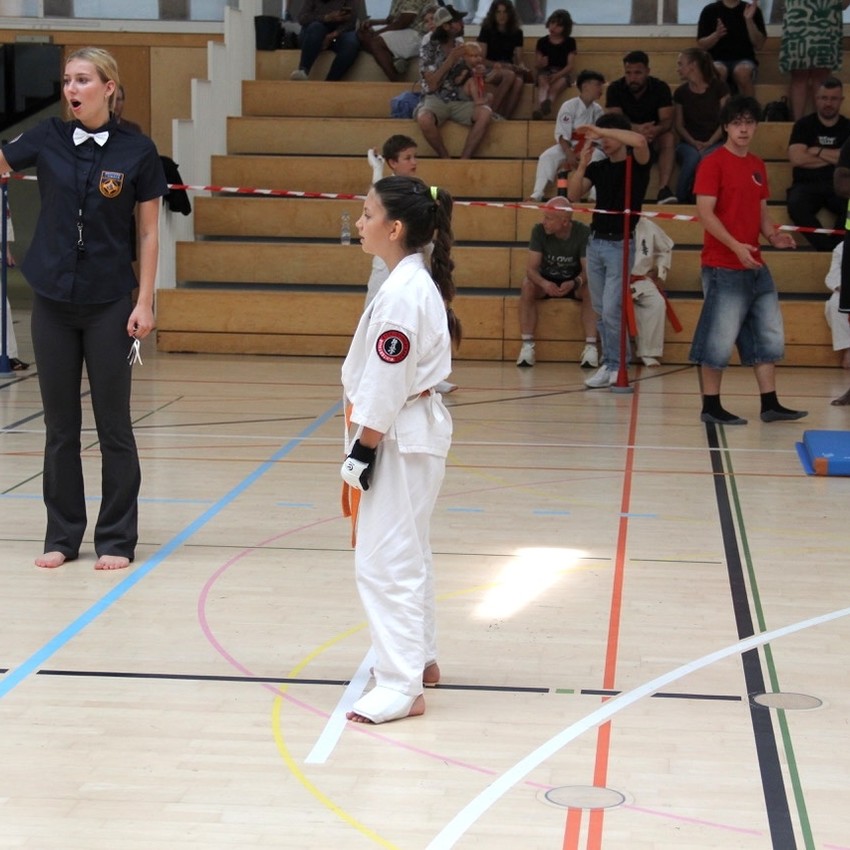 img_6559-e49fa302ede7ac27d1df82e2cca5acc1