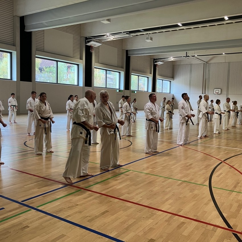 img_6639-307881da94eb393f0db04c9ee5b978eb