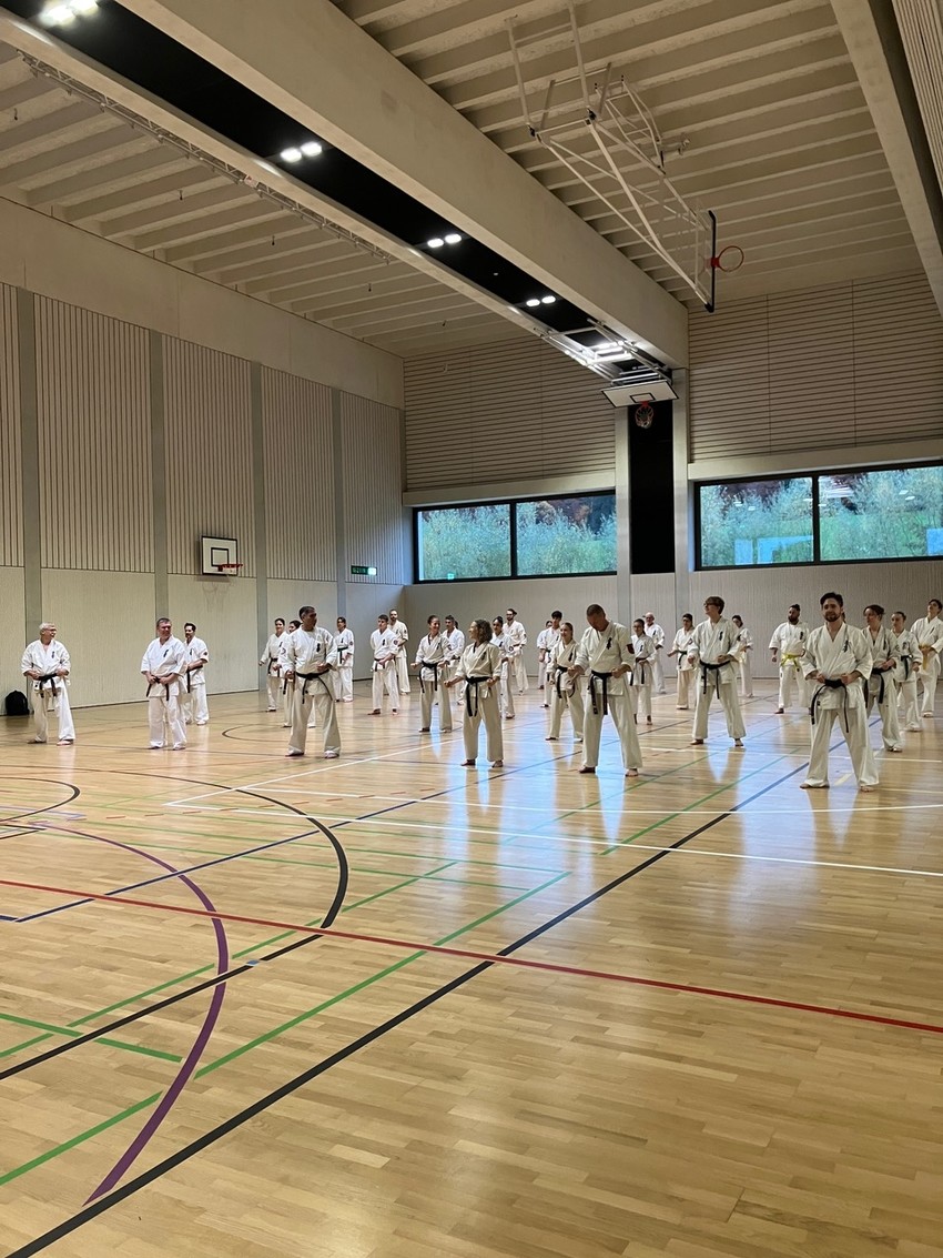 img_6669-ee2a671009b9a0768bbf10228efad970