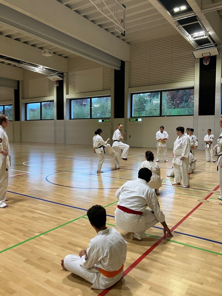 img_6676-611618d334fc2e6de3e9d18795e715eb