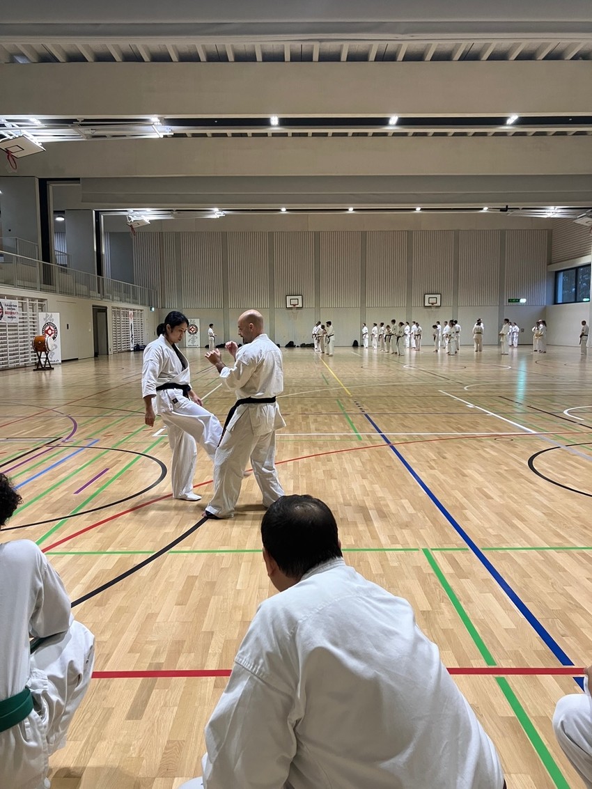 img_6705-60c99e9682047cff34e53ed34c28fce6