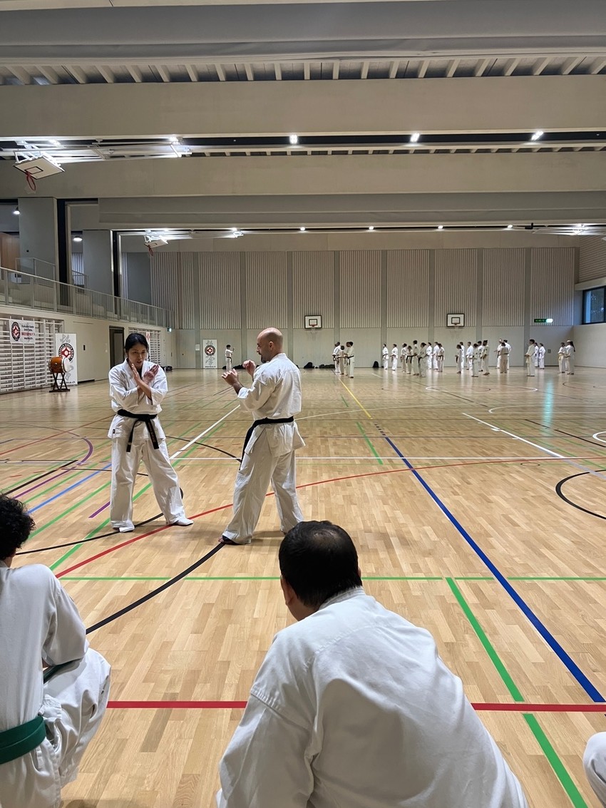 img_6706-80434ab10abd5b0ea12a8a736a35111a