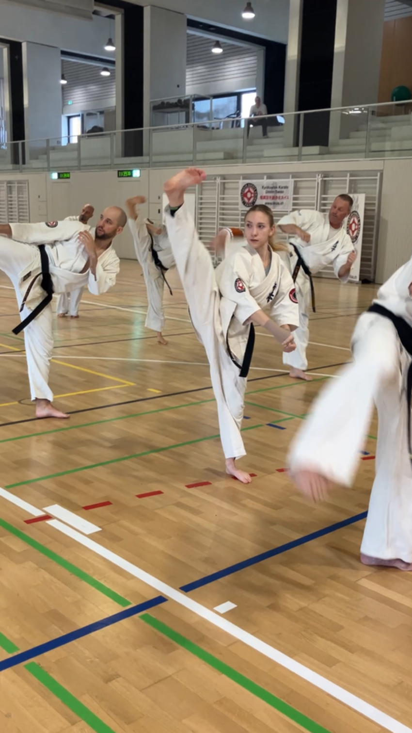 img_6744-92b169afd66baf9b299cc314a43b753d