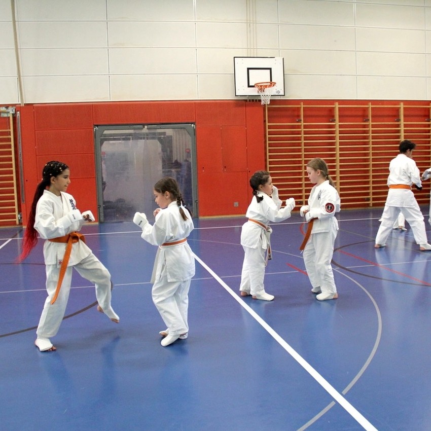 img_6879-aa8bd1347e3d9119eca09bc63745aa04