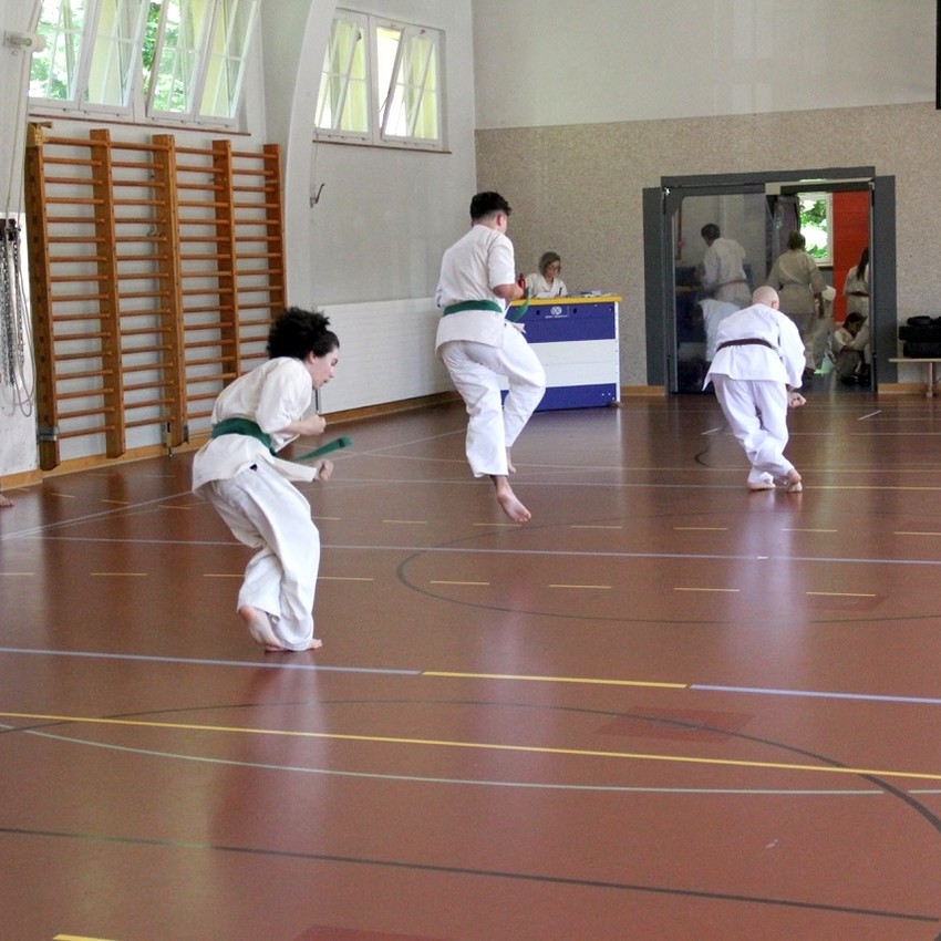 img_7027-551ab2a231b38de58354637591096b31
