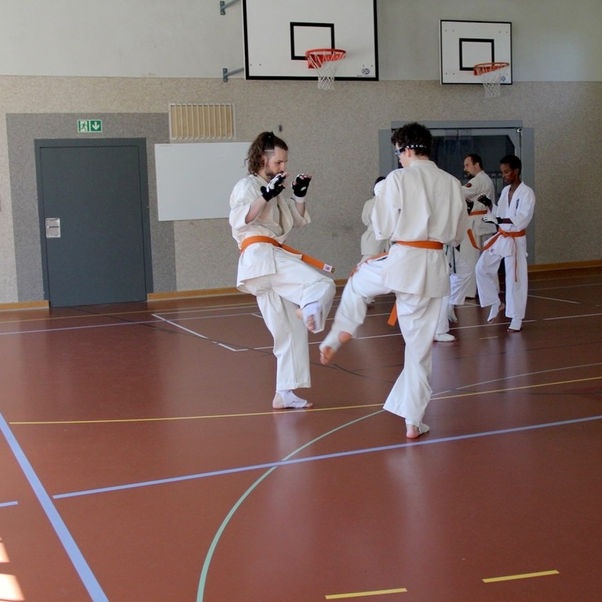 img_7150-e158ccdbe8e4dce41b3f1609b9b13a0b