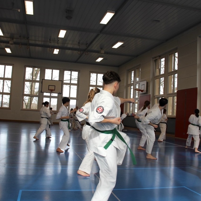 img_7342-59c3fdc7e8390808cf7275f69dc9bd77