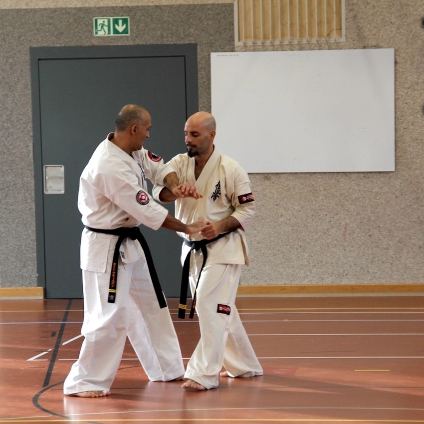 img_7432-e21b3bb22ad7280b4010c30d003fba06