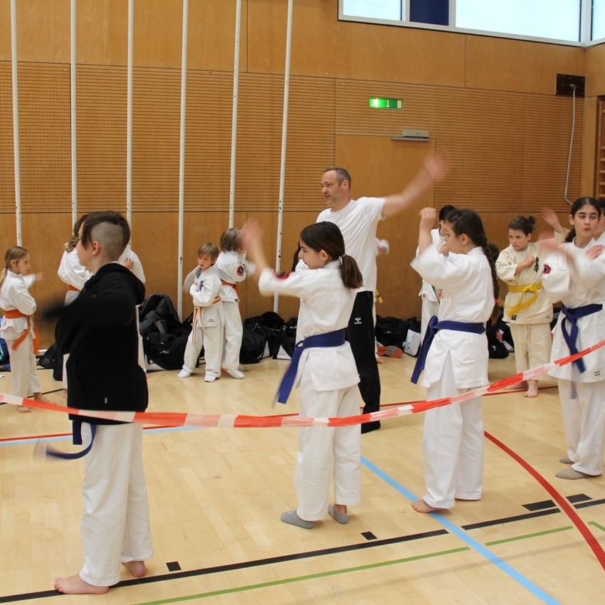 img_7981-eaf146379c1bfca582c717d4e4285ee6