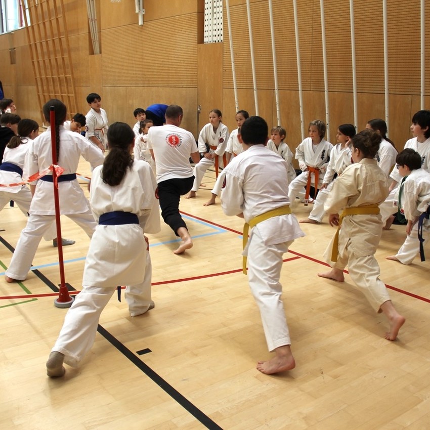 img_7994-85185d228e2610480662e37ee6ea22b7