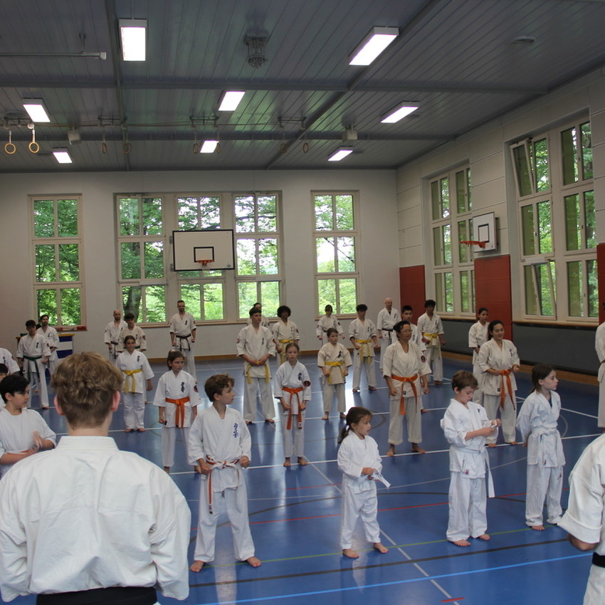 img_8371-2ea68bda579d7149b429a0c230f0df83