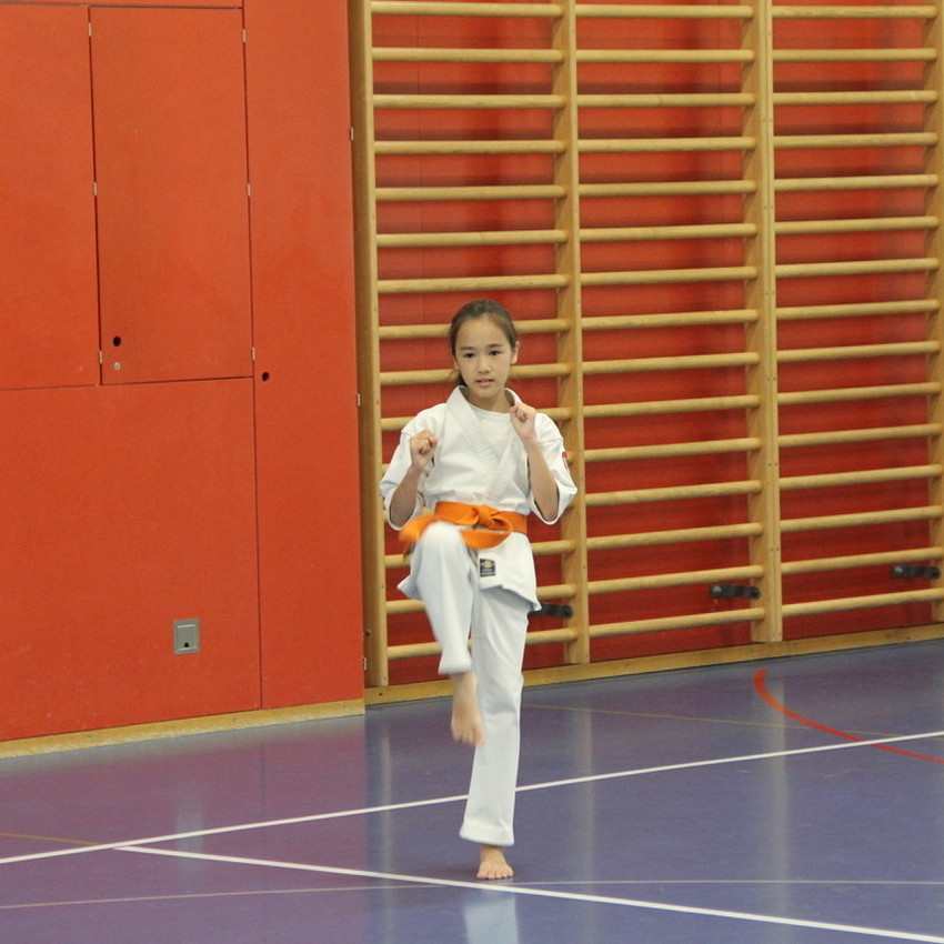 img_8396-d993a5644e46cca1c6bfe8f1a74806e4