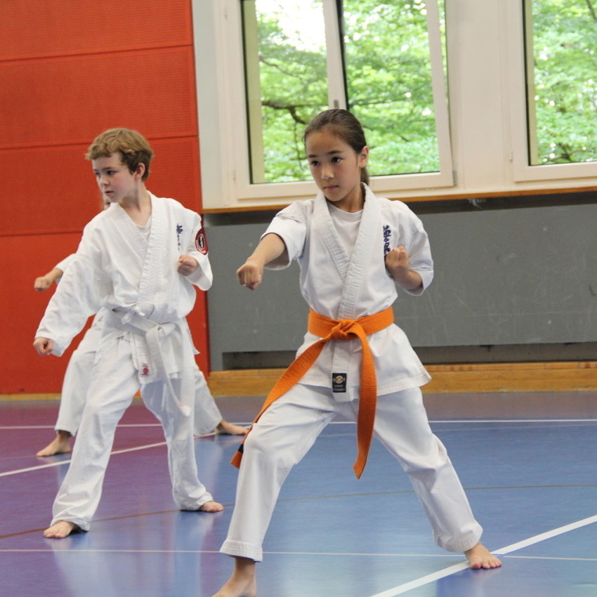 img_8438-33db62928dfe31c564674f11f3d46bc7