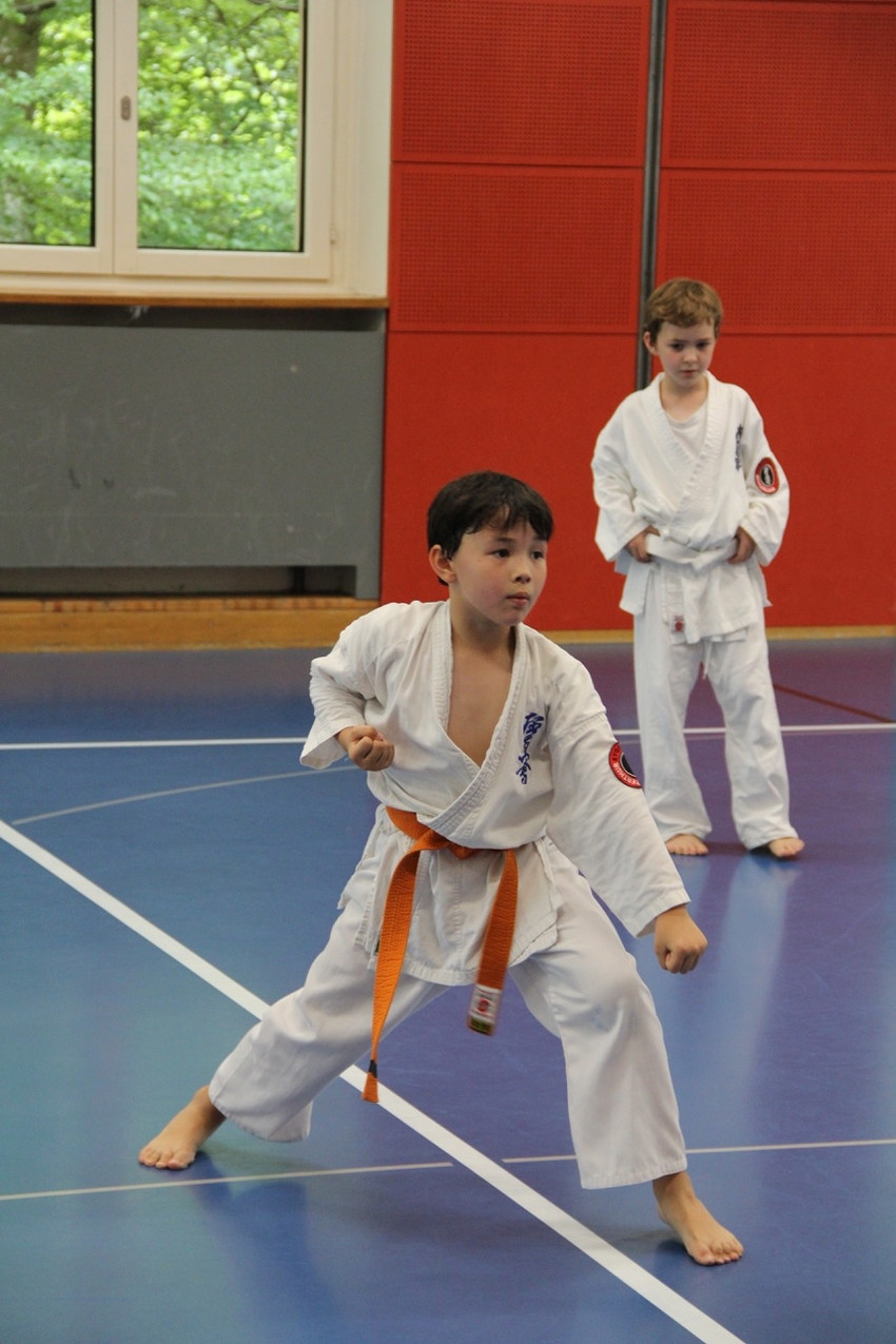 img_8468-2de3dadc7234305ddf938ad035bfc15b