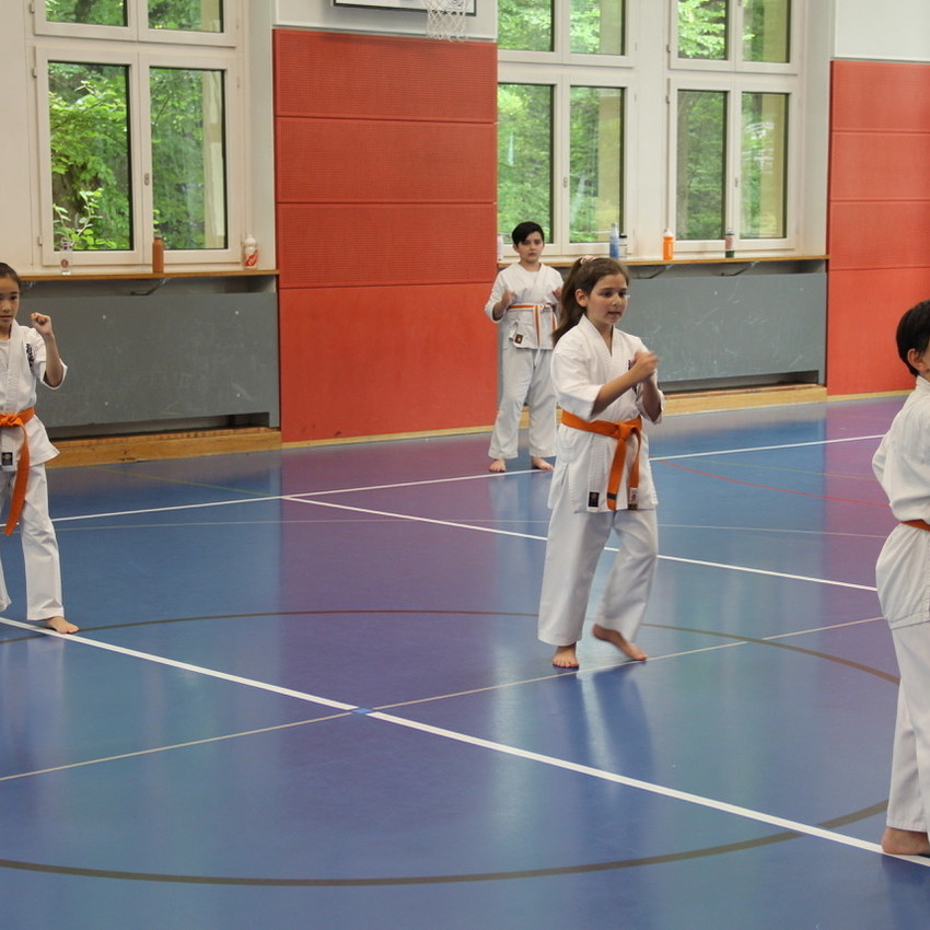 img_8503-0d71b987a5042639a91c59eb052c7c1e