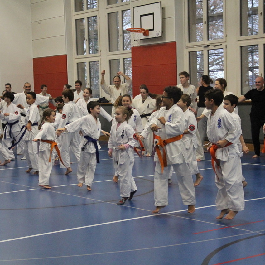img_8556-442c30f8d92f64d210e515be03d59196