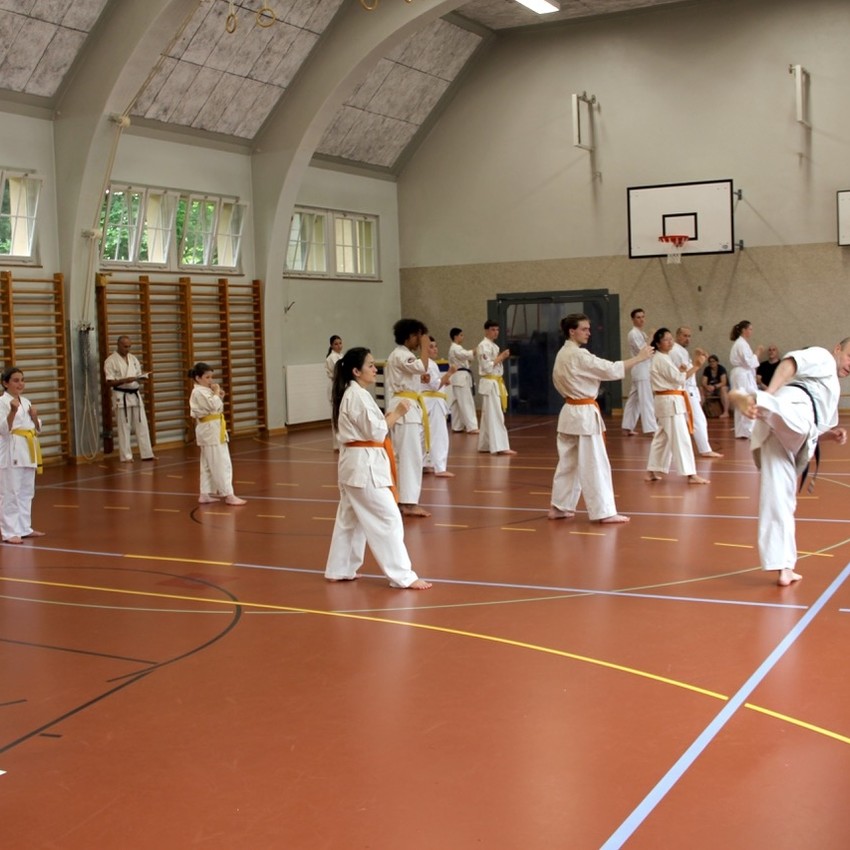 img_8587-37289c201d0b5ac4b3173f5302974d9f