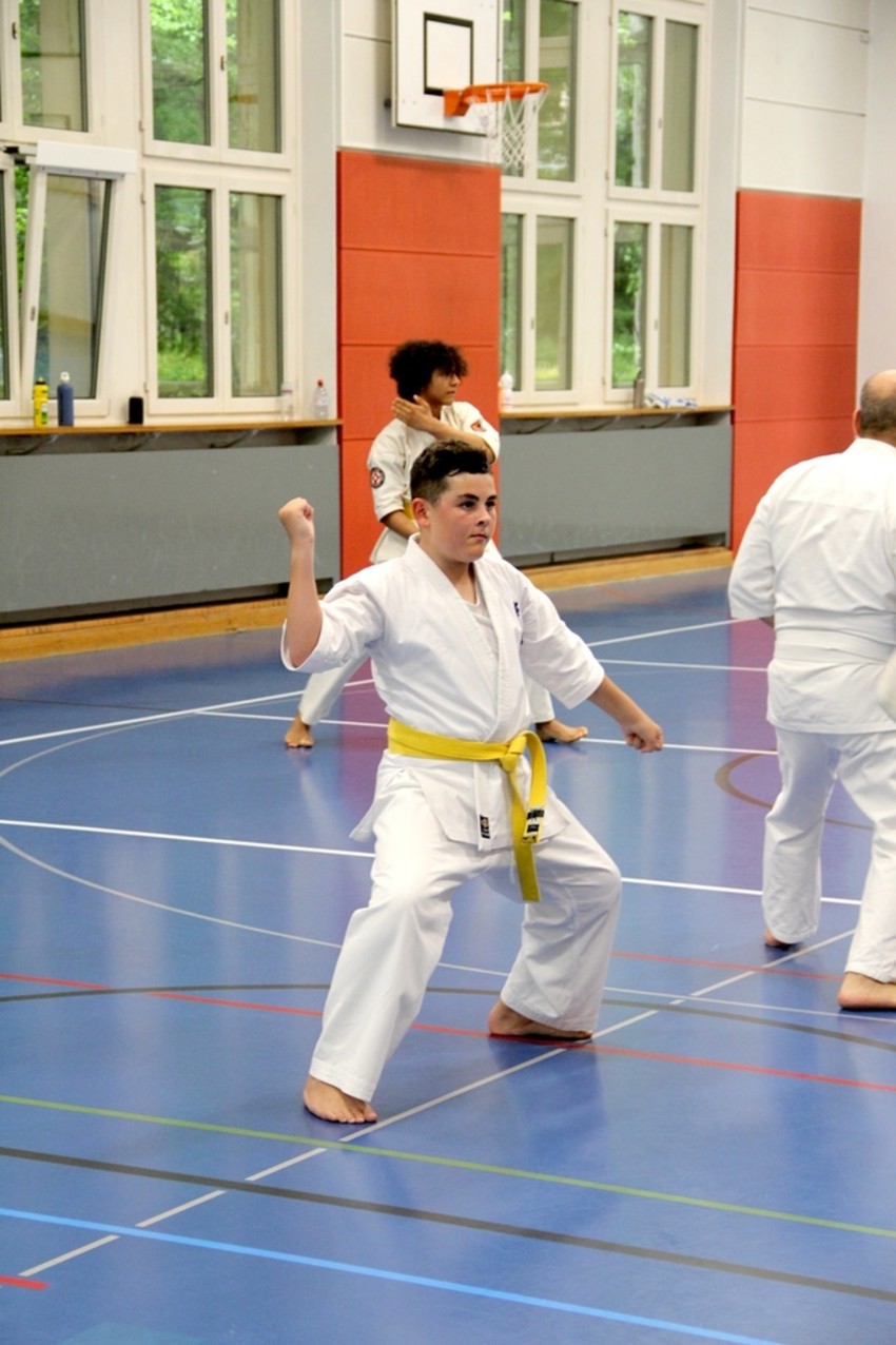 img_8731-6d36ad56d7a276596cb875dcff2c3068