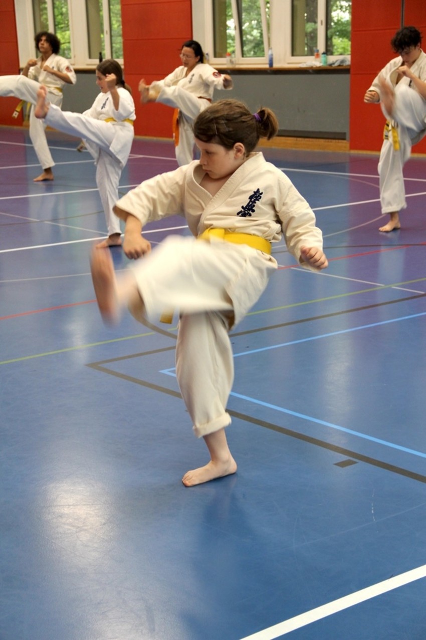 img_8757-1d1be543ccd78c3b9a6b7b3a11278b21