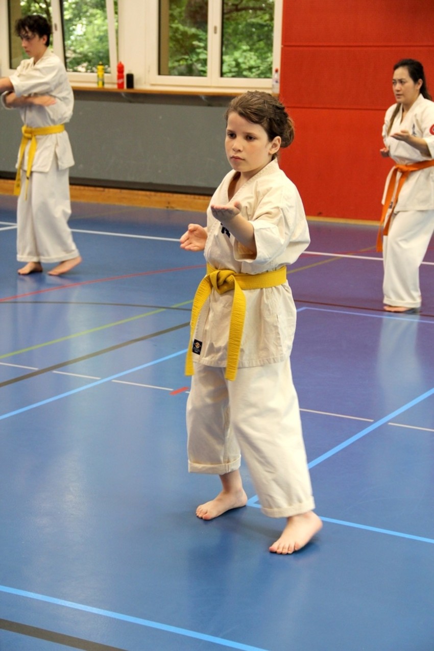 img_8804-5d485b4b2f96c95f2c1616b97e93f6b1