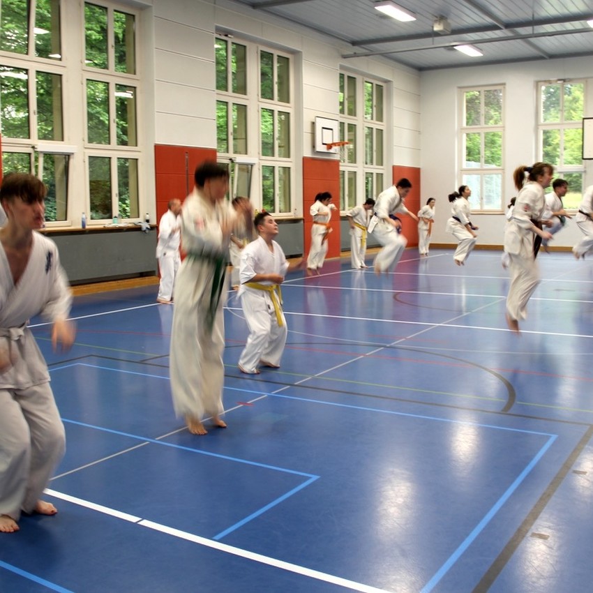 img_8884-642c3474ef2cf359f2984817d471cb37