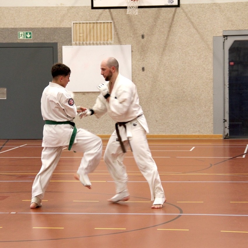 img_9058-43a3d4ef99556a967b28c068cb29565a