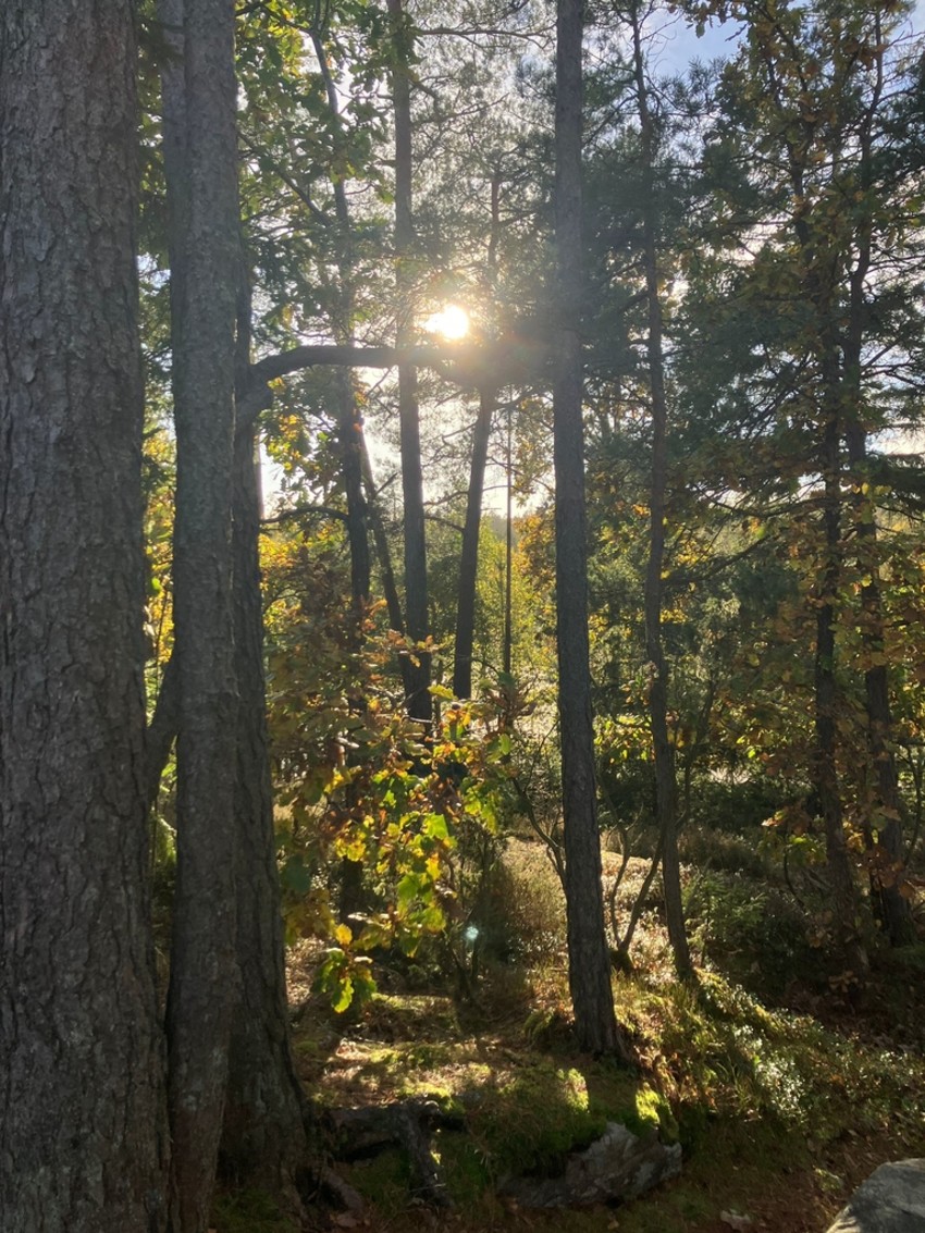 photo-2025-10-12-19-57-40-915a7b691ab557e53d11f6f606523978