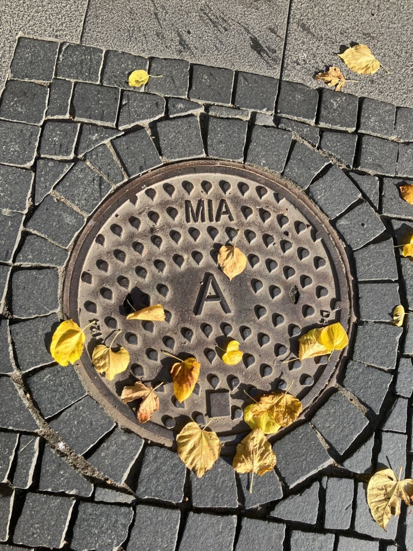 photo-2025-10-12-19-59-13-d718b1776b4ab202dff3dfb92f9fa1db