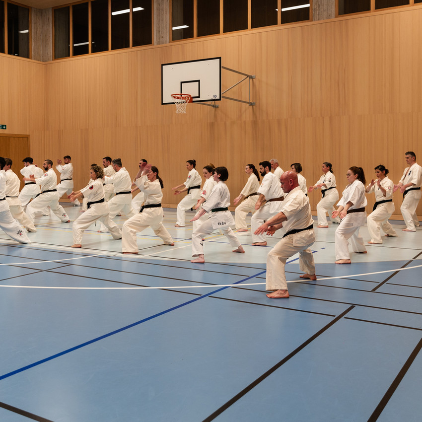 sks-kataseminar-4-4a9852dd97c06e489b6b2ef57f8b44cf